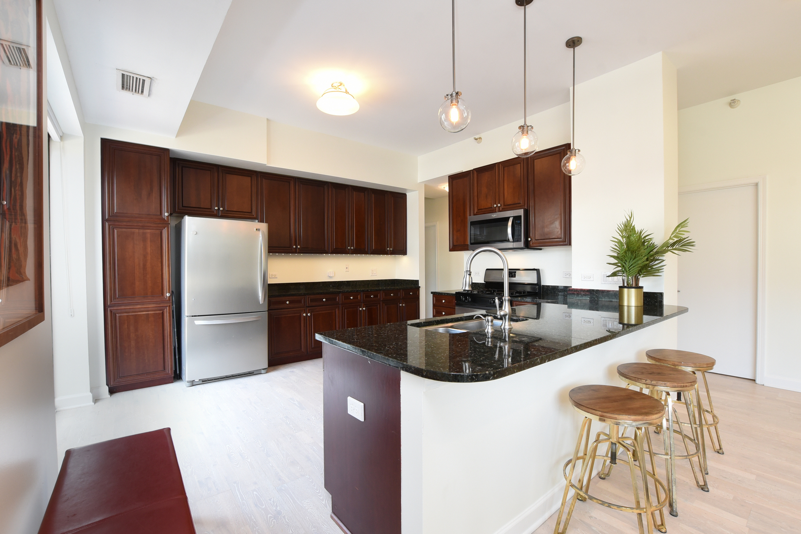 1133 South State Street, Unit 700 Chicago, IL 60605 - Photo 12 of 43