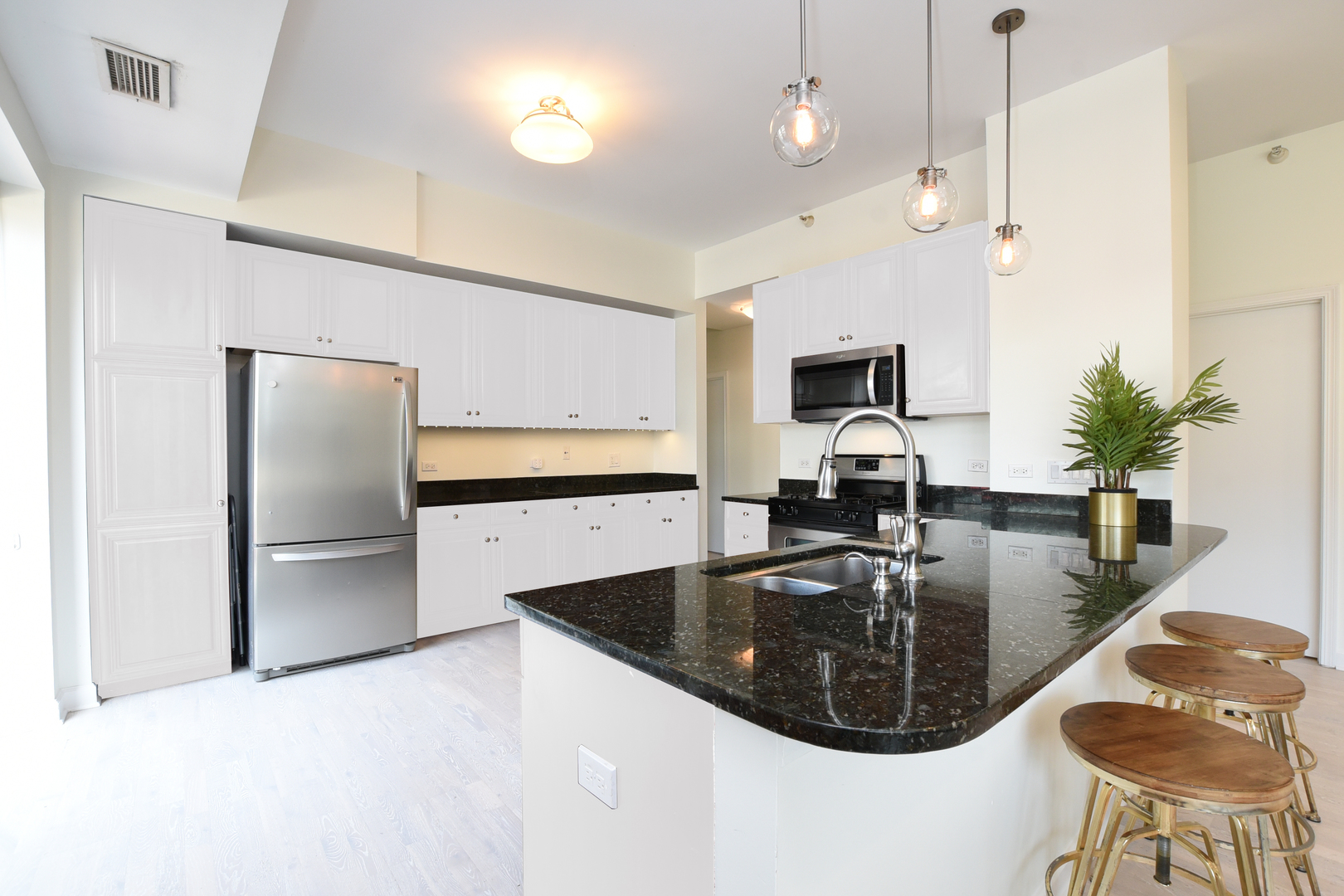 1133 South State Street, Unit 700 Chicago, IL 60605 - Photo 13 of 43