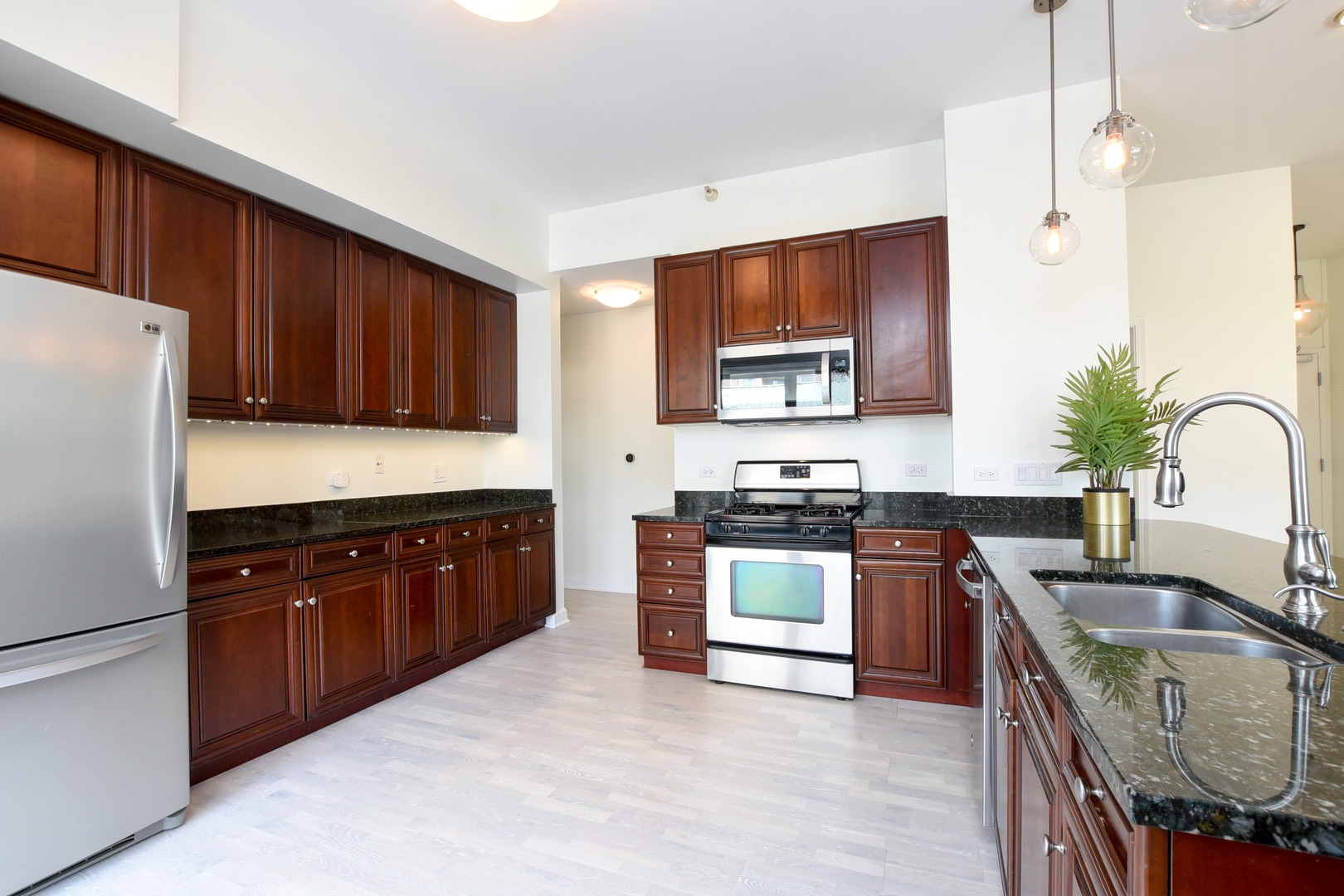 1133 South State Street, Unit 700 Chicago, IL 60605 - Photo 14 of 43