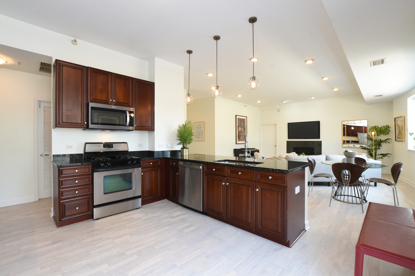 1133 South State Street, Unit 700 Chicago, IL 60605 - Photo 16 of 43