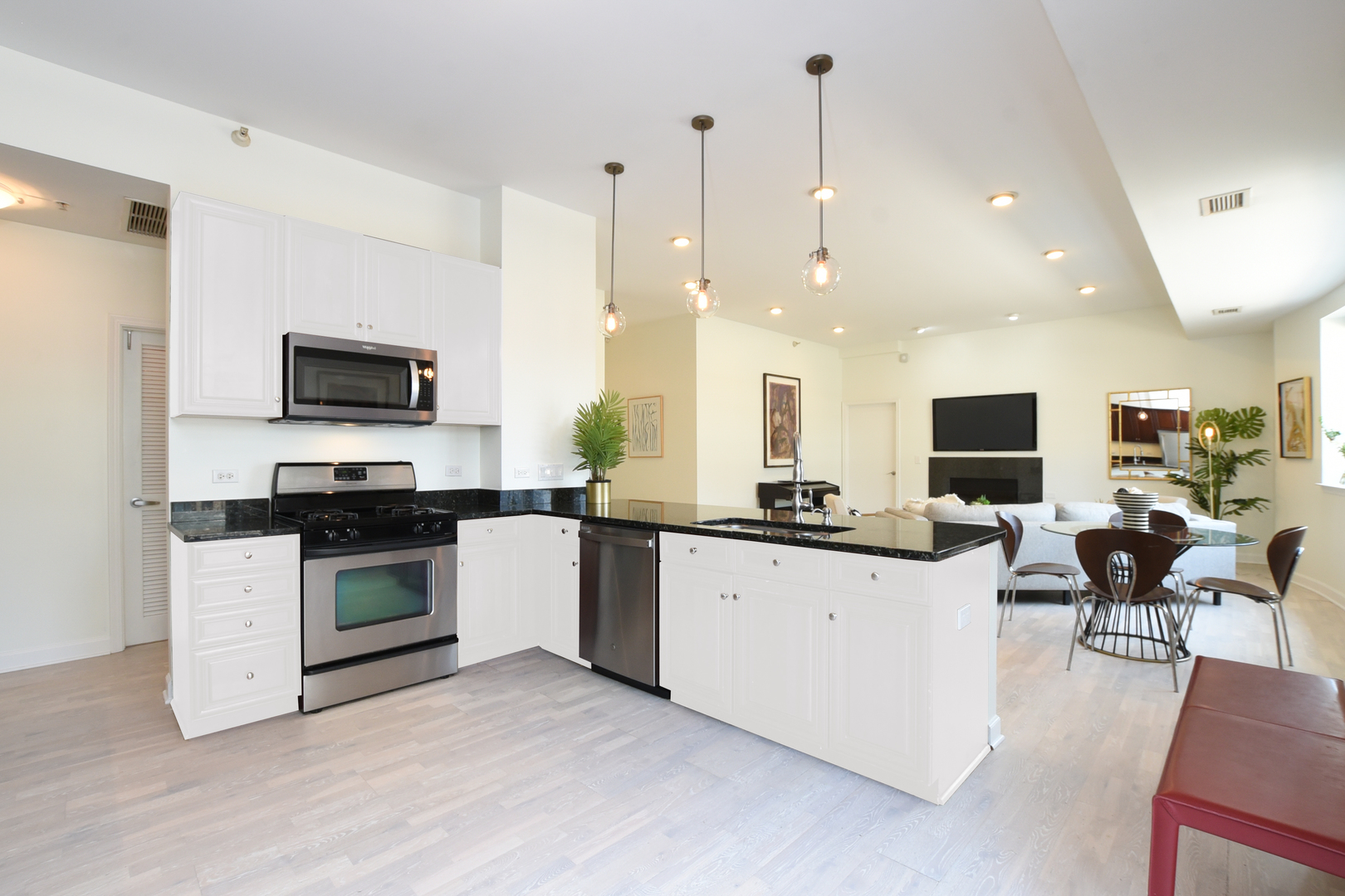 1133 South State Street, Unit 700 Chicago, IL 60605 - Photo 17 of 43