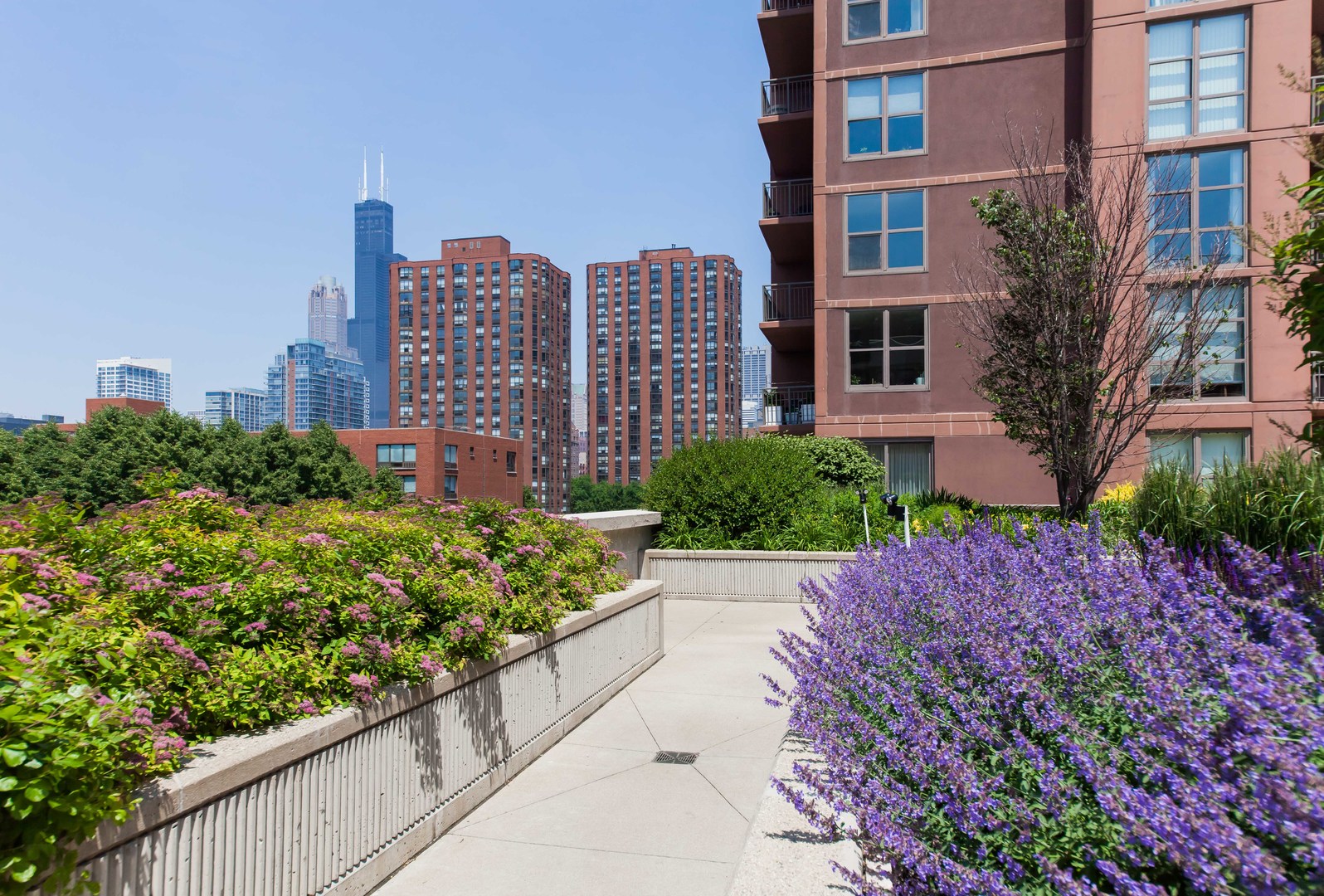 1133 South State Street, Unit 700 Chicago, IL 60605 - Photo 37 of 43
