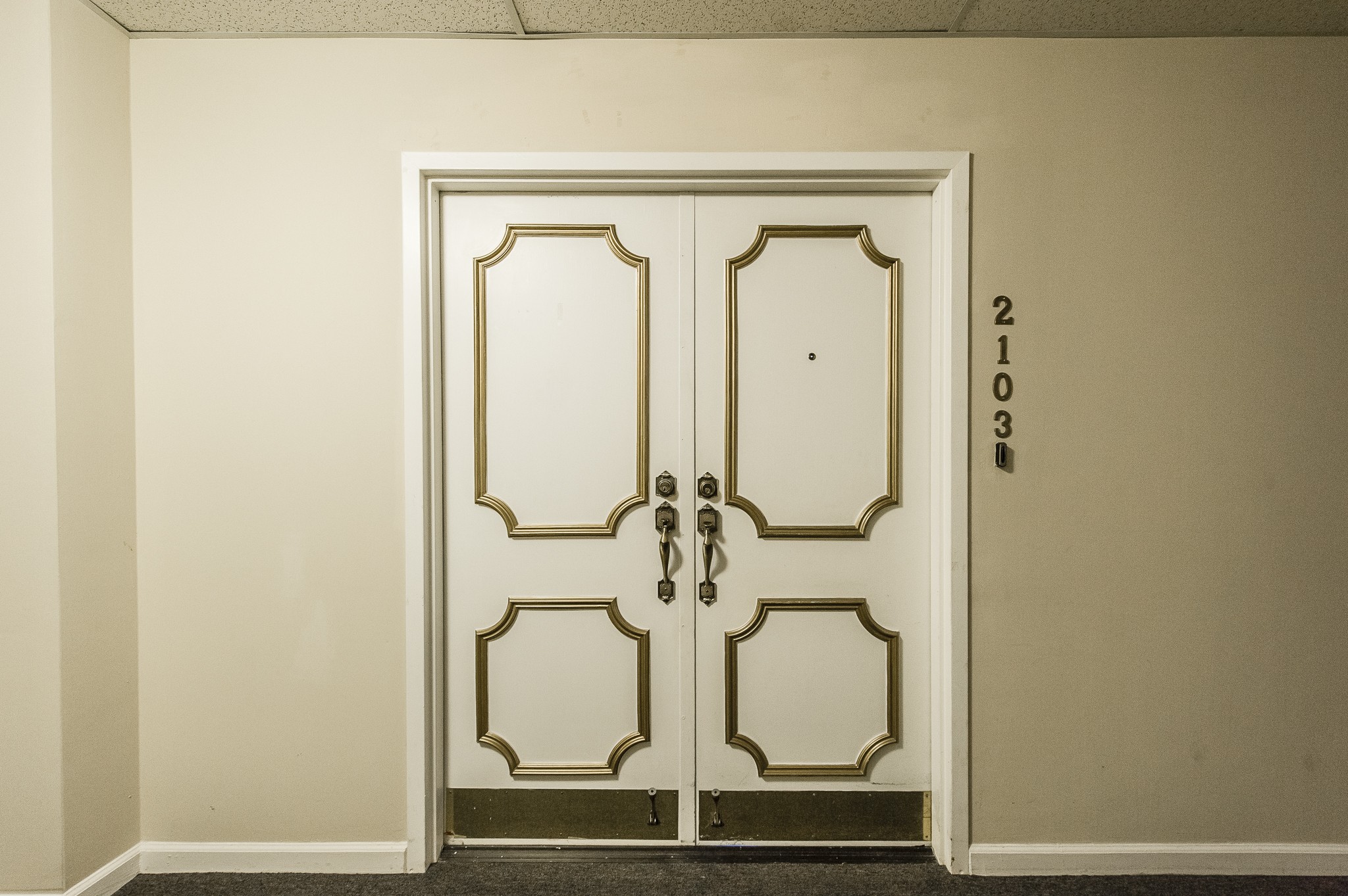 200 Sanders Ferry Road, Unit 2103 Hendersonville, TN 37075 - Photo 48 of 53 a close view of light fixtures