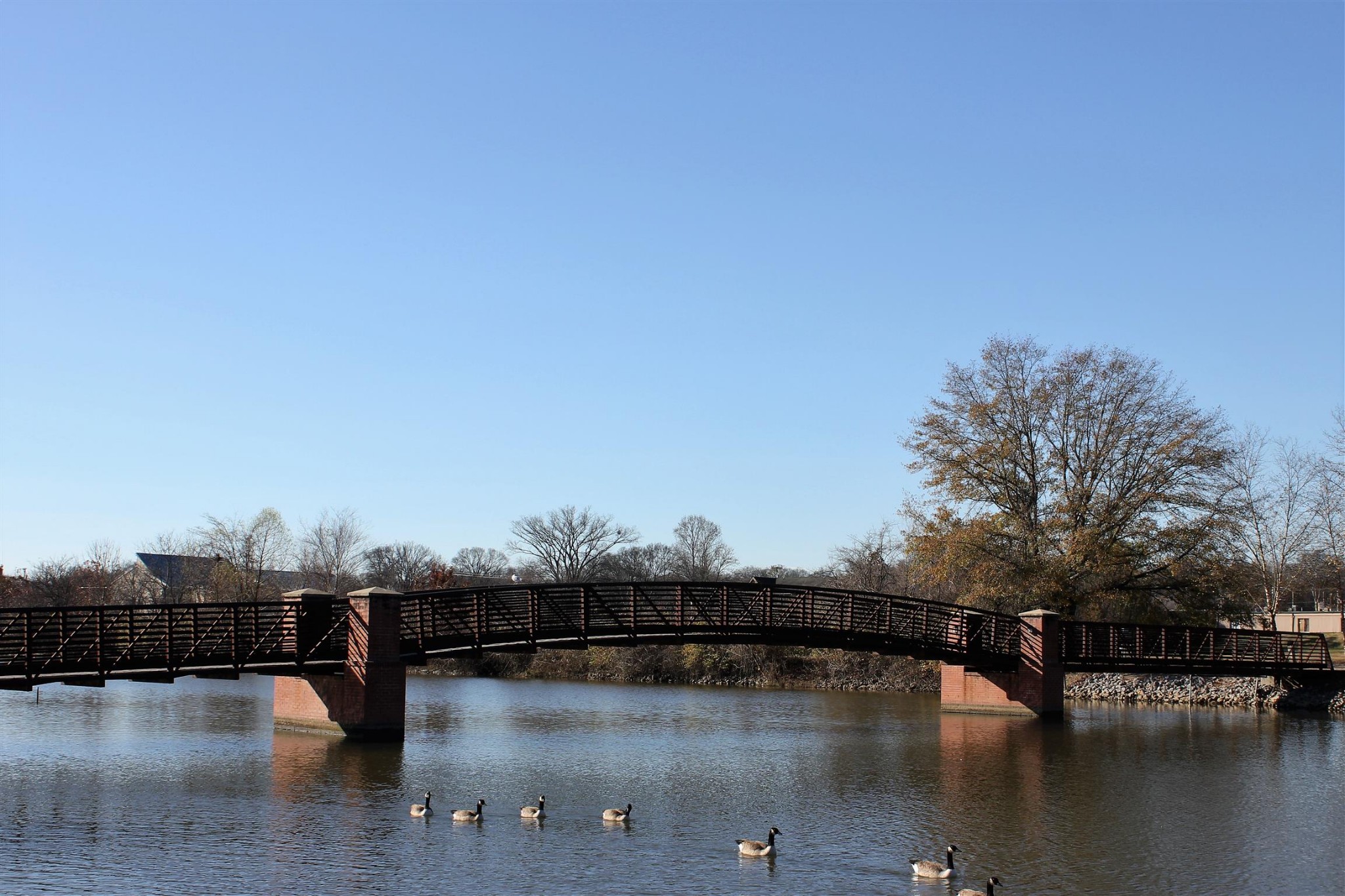 200 Sanders Ferry Road, Unit 2103 Hendersonville, TN 37075 - Photo 53 of 53 a view of ocean with boats and trees in the background
