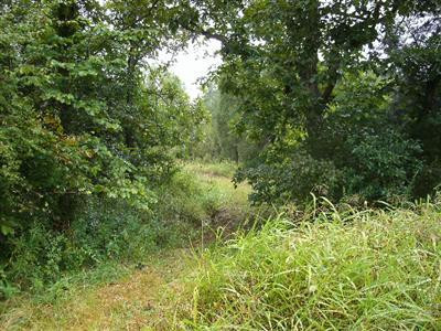 460 Lulbegrud Road Winchester, KY 40391 - Photo 3 of 5 Photo 3