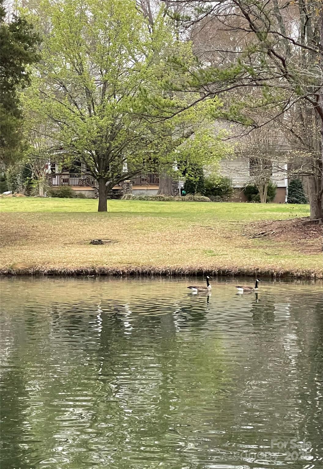 9199 State Rd S-29-624 Indian Land, SC 29707 - Photo 2 of 9 a view of an ocean with trees