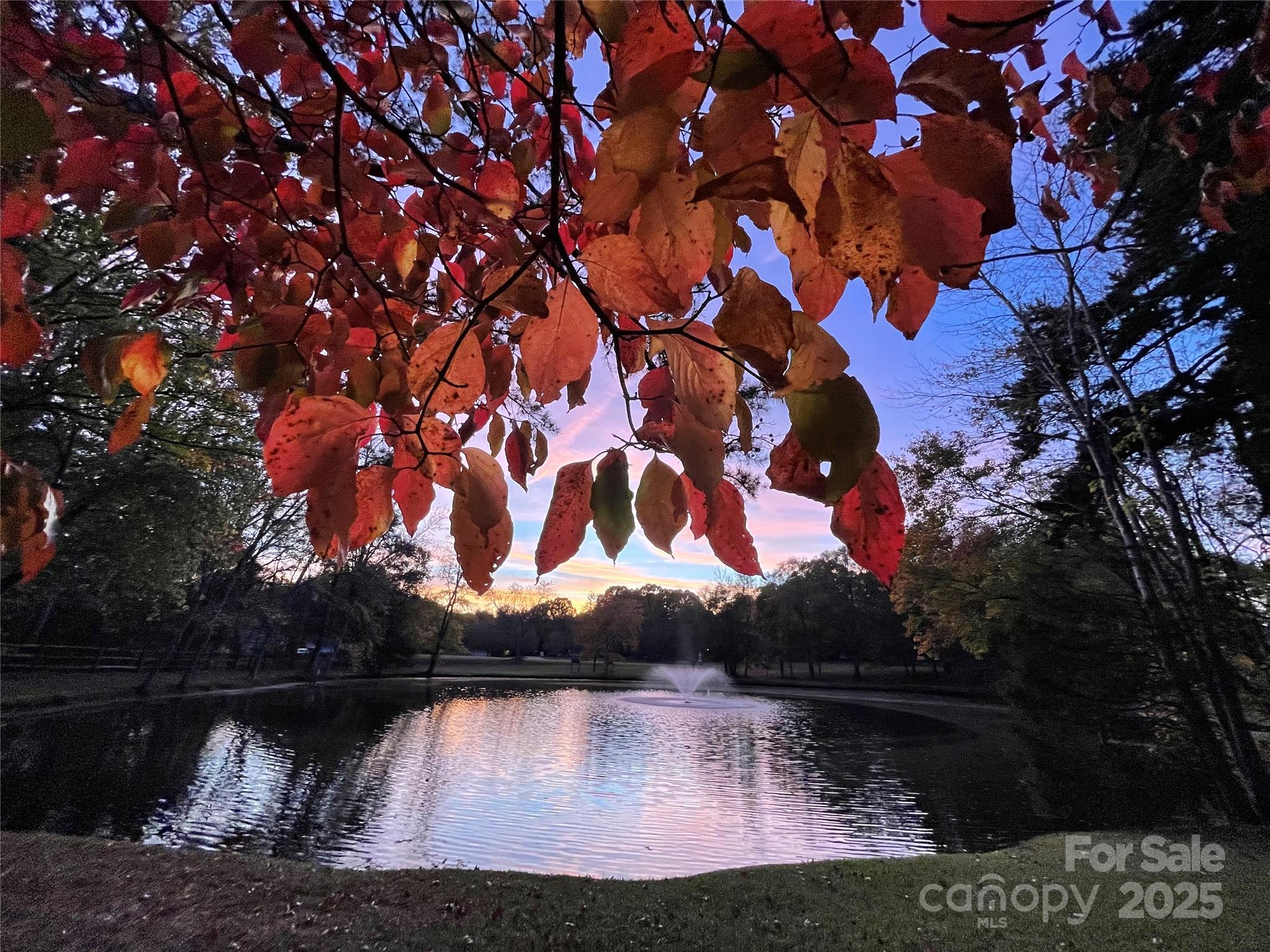 9199 State Rd S-29-624 Indian Land, SC 29707 - Photo 3 of 9 a view of a lake