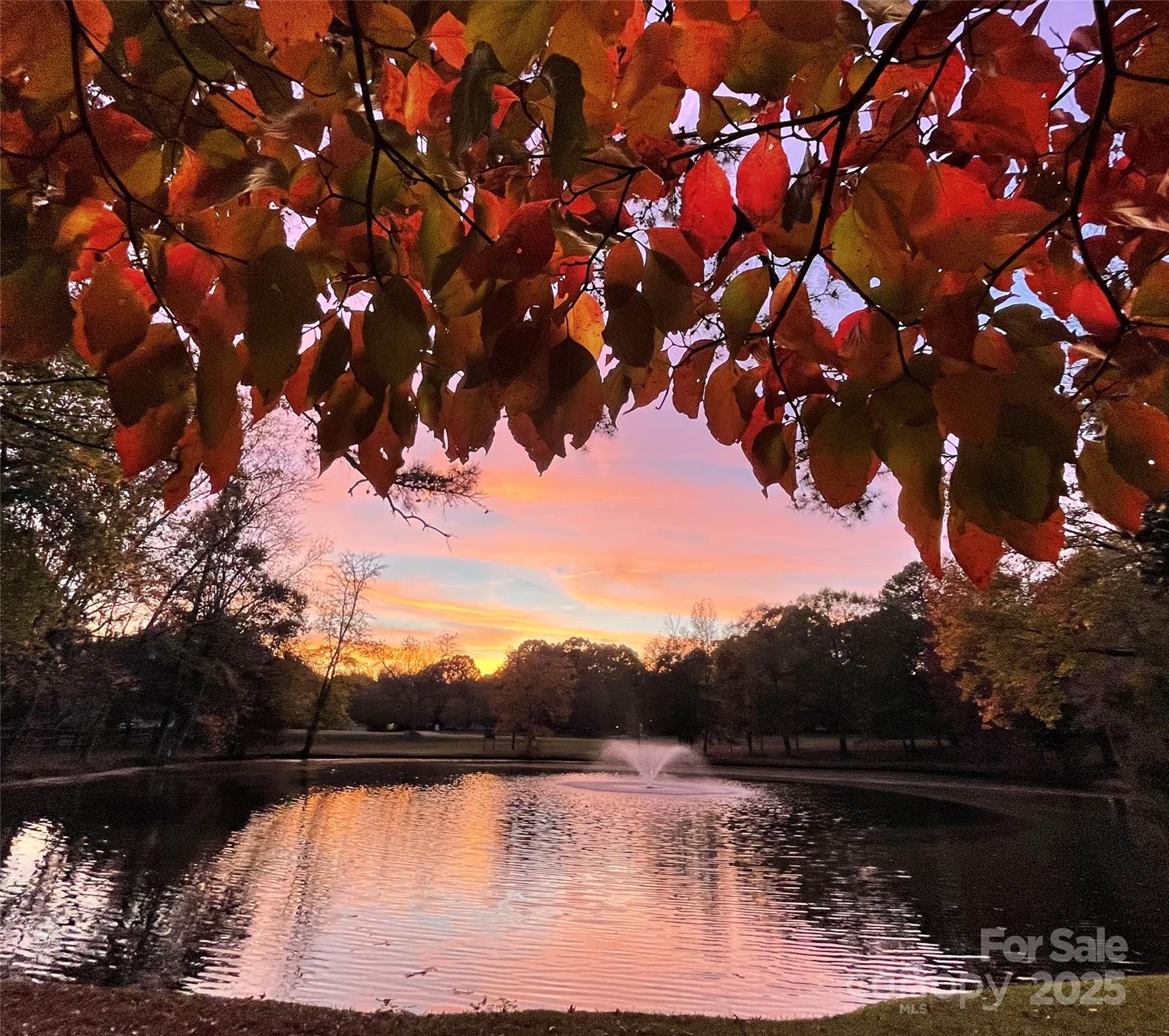 9199 State Rd S-29-624 Indian Land, SC 29707 - Photo 5 of 9 a view of lake