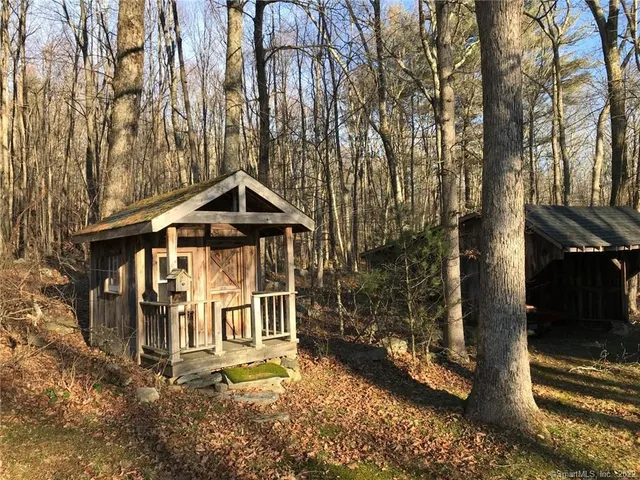 a view of tree in between the trees