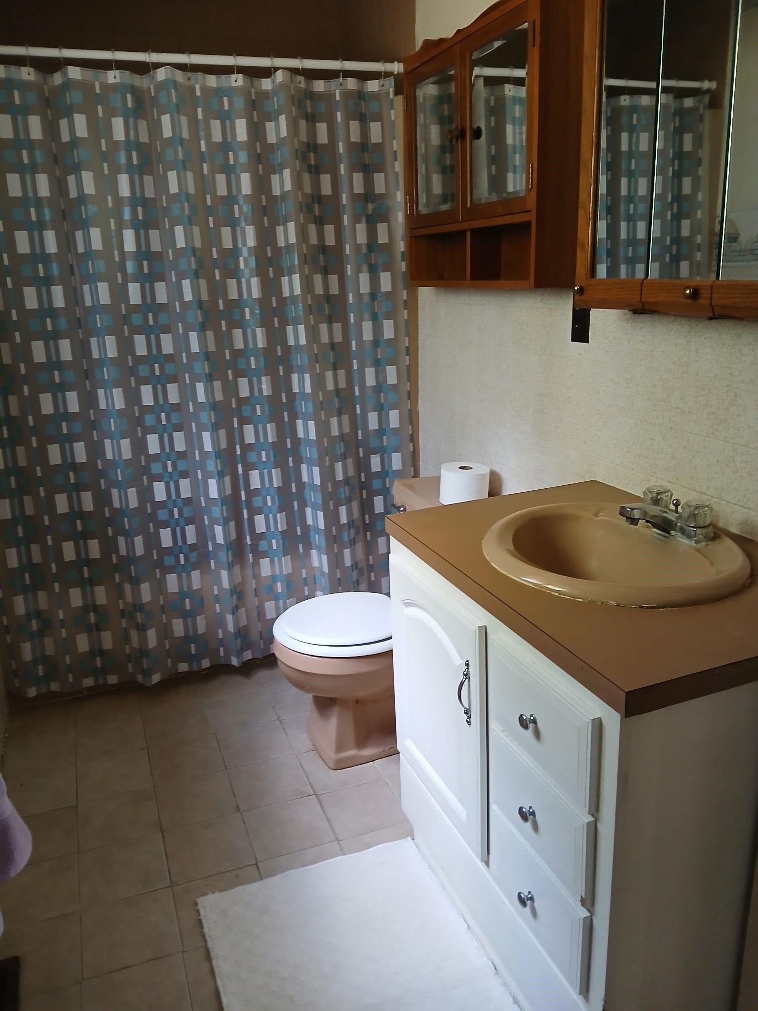 4589 North Geneva Road Coleman, MI 48618 - Photo 17 of 33 Gallery Image 17