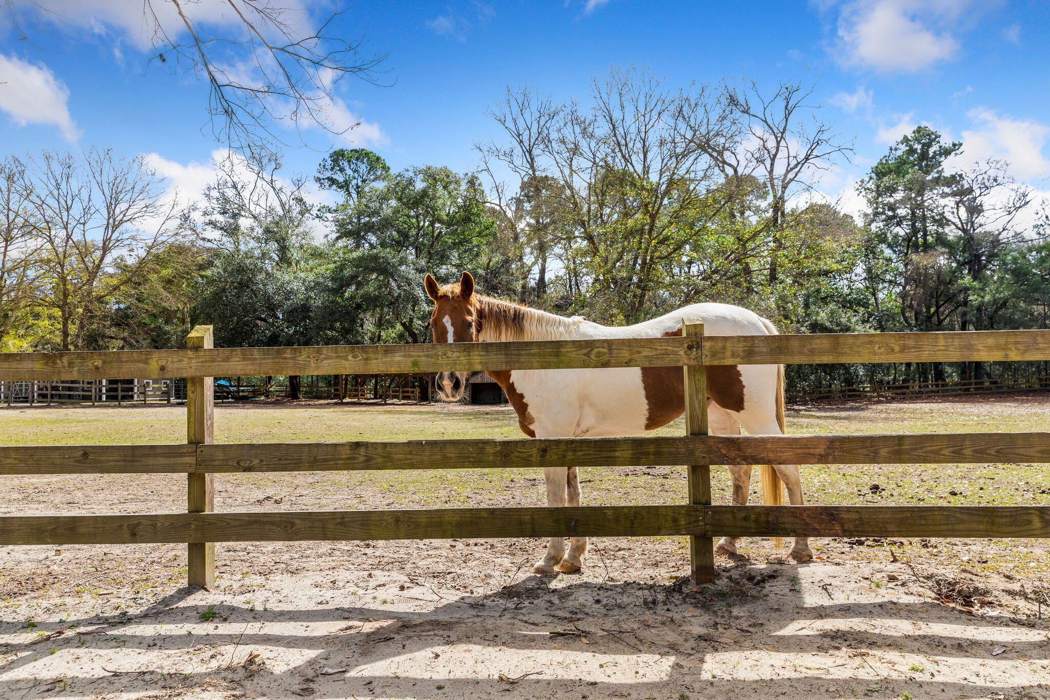 5434 Chaplins Landing Road Hollywood, SC 29449 - Photo 85 of 106 Farm