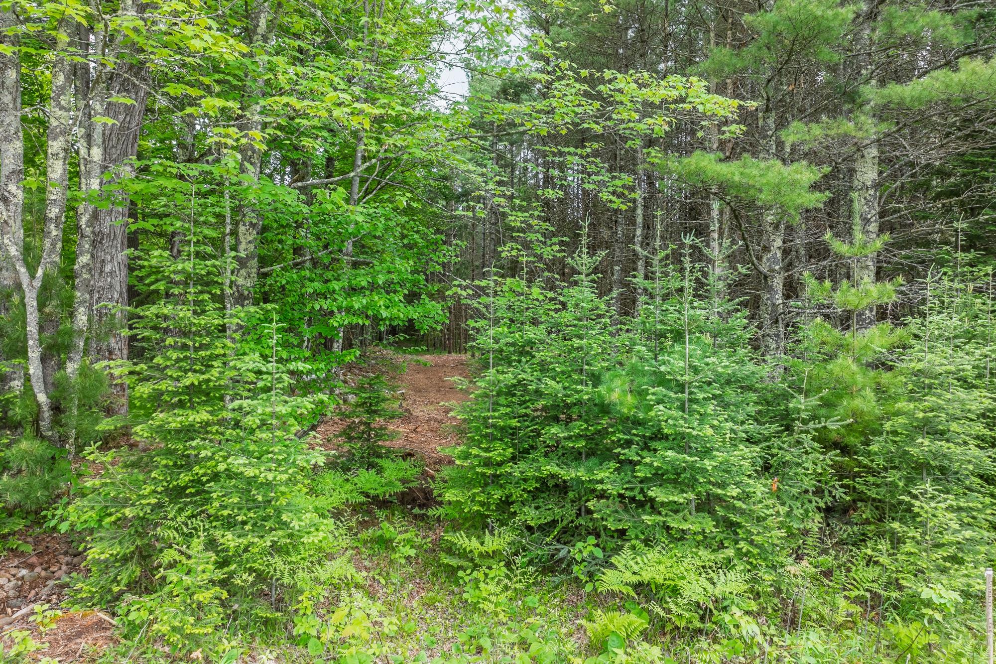 Off Church Road, Unit 3 Conover, WI 54519 - Photo 10 of 18 Gallery Image 10