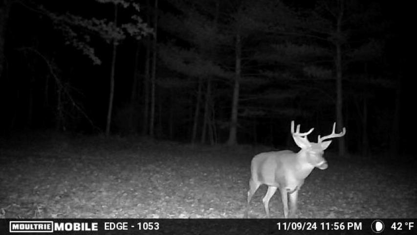 Vl Kolarvic Road Manton, MI 49663 - Photo 13 of 28