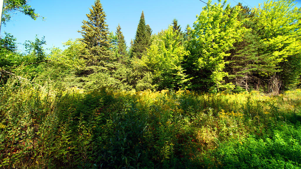 Lot 48 White Road Houlton, ME 04730 - Photo 18 of 27 white-rd-clark-13