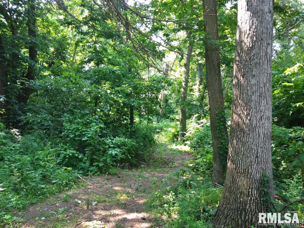 28409 McCoy Road Chandlerville, IL 62627 - Photo 6 of 24 Gallery Image 6