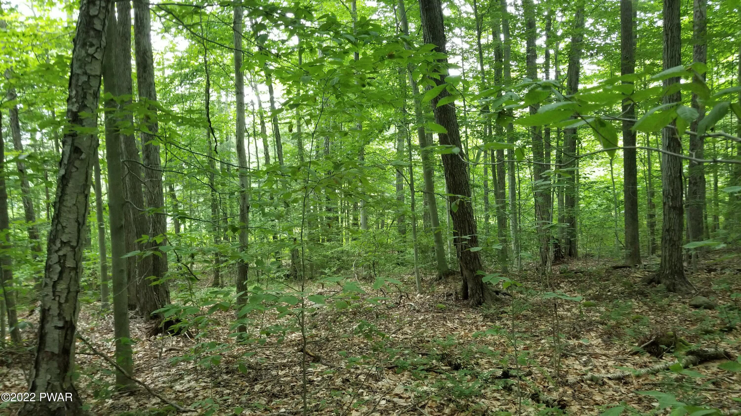 Lot 80 Stonegate Road Equinunk, PA 18417 - Photo 8 of 58