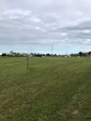 a view of an ocean from a yard