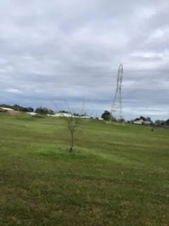 a view of a large body of water with a large tree