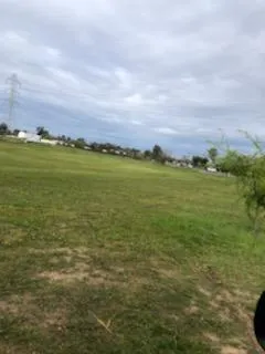 a view of an ocean and beach