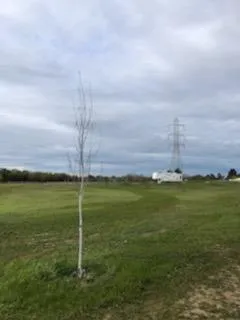 $525,000 | 0 Elkhorn Boulevard, Rio Linda, CA 95673