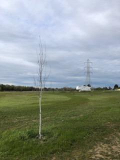0 Elkhorn Boulevard Rio Linda, CA 95673 - Photo 18 of 18 a view of an ocean and beach