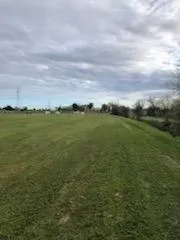 a view of an ocean from a yard