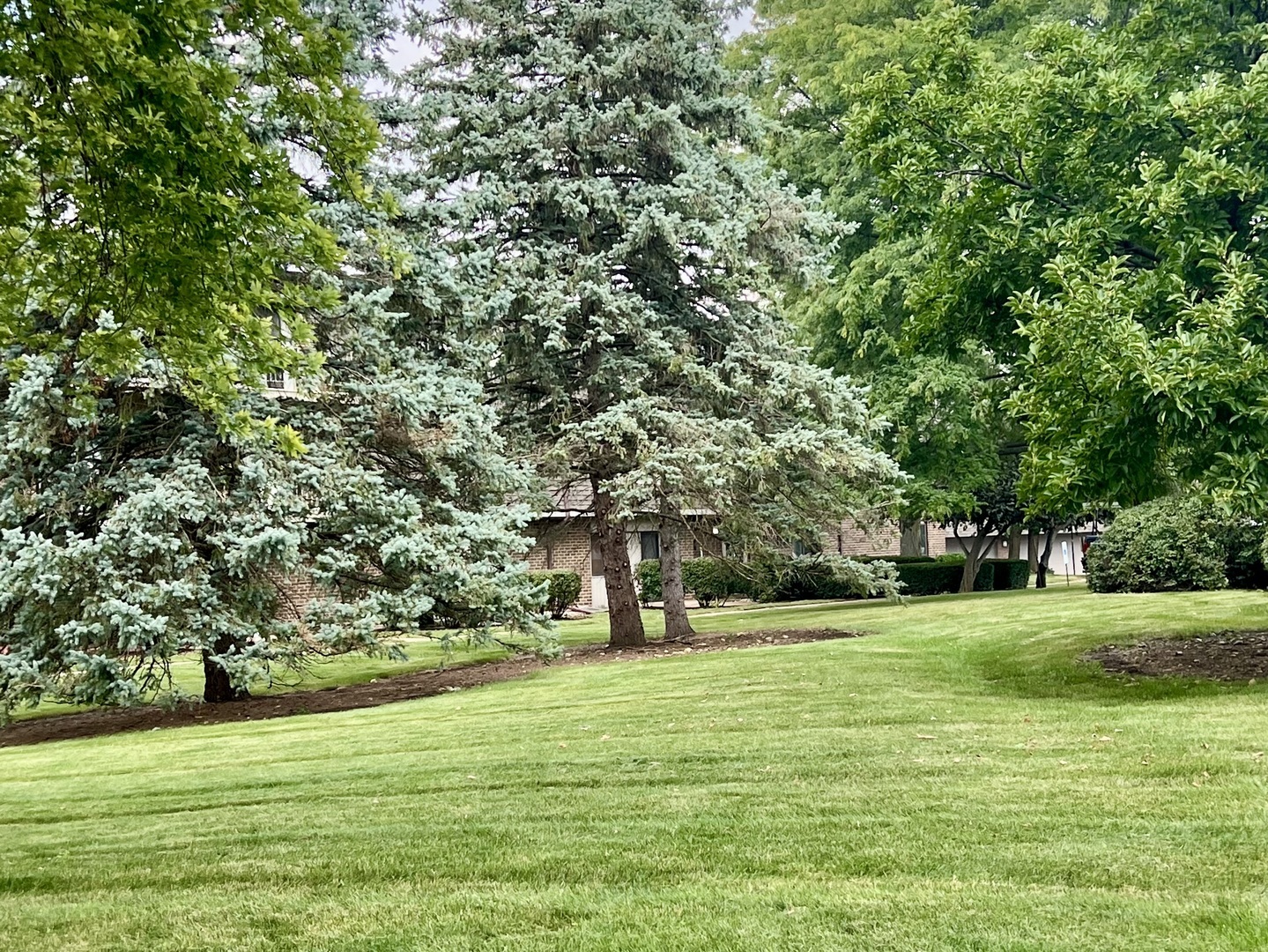 114 East Bailey Road, Unit M Naperville, IL 60565 - Photo 19 of 21 a view of a trees in a yard