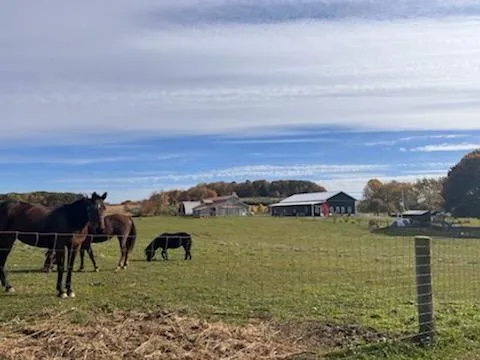 $350,000 | 13170 Highway 36, Punxsutawney, PA 15767