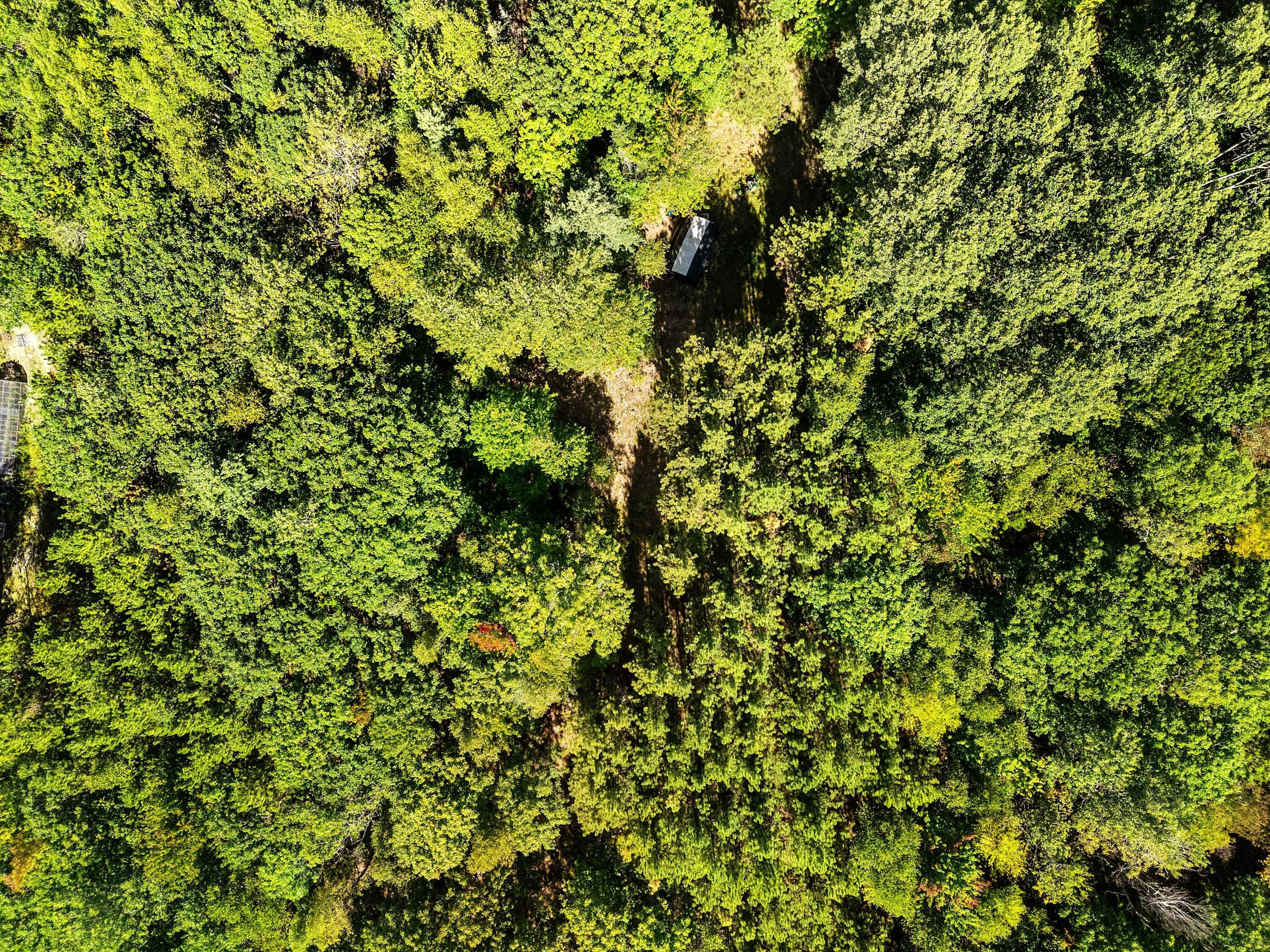 142 D Tucker Brook Road Lincolnville, ME 04849 - Photo 11 of 13 DJI_20250922115857_0058_D