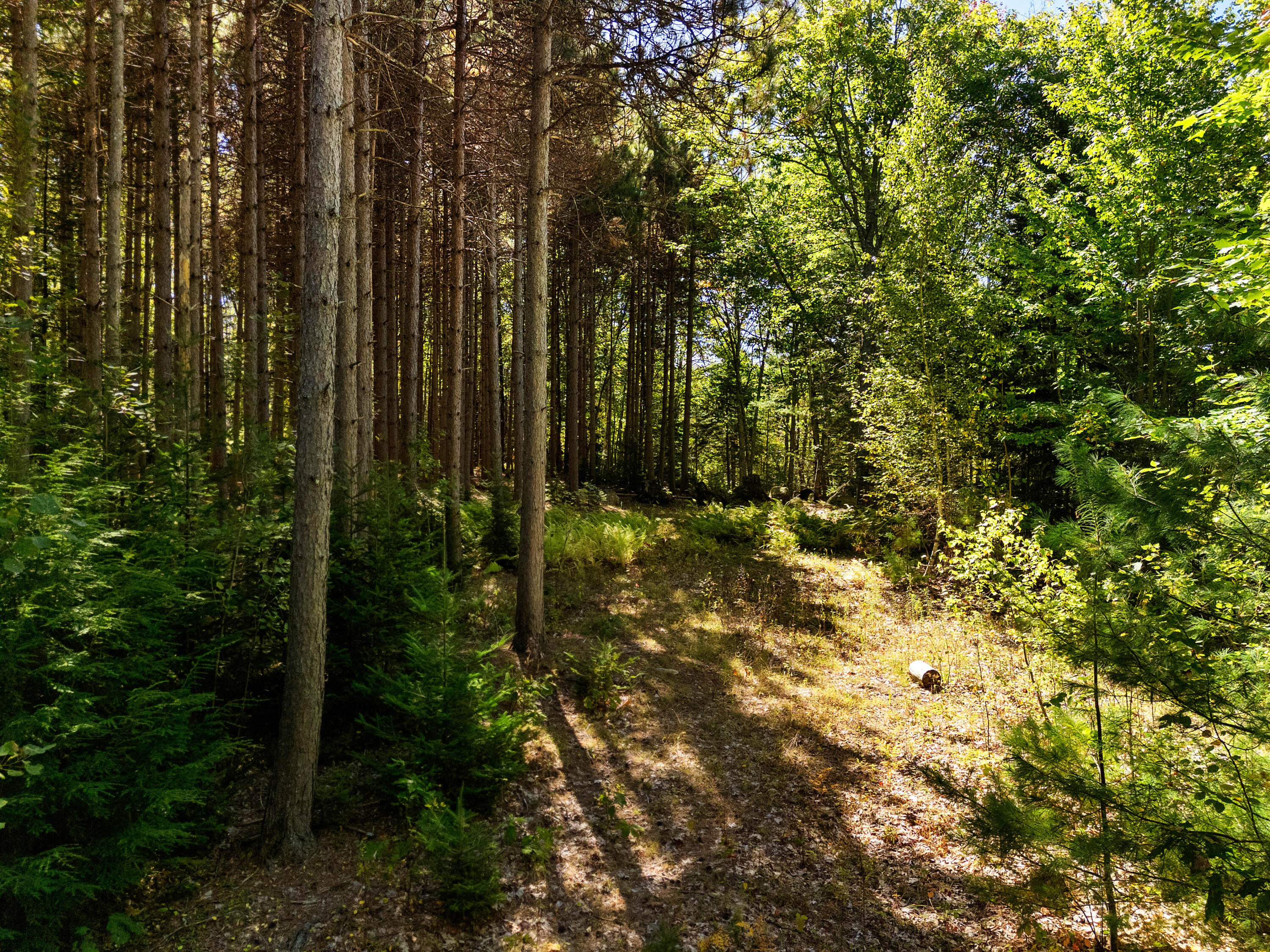 142 D Tucker Brook Road Lincolnville, ME 04849 - Photo 3 of 13 DJI_20250922115621_0023_D