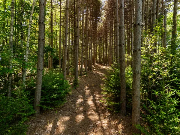 $120,000 | 142 D Tucker Brook Road, Lincolnville, ME 04849