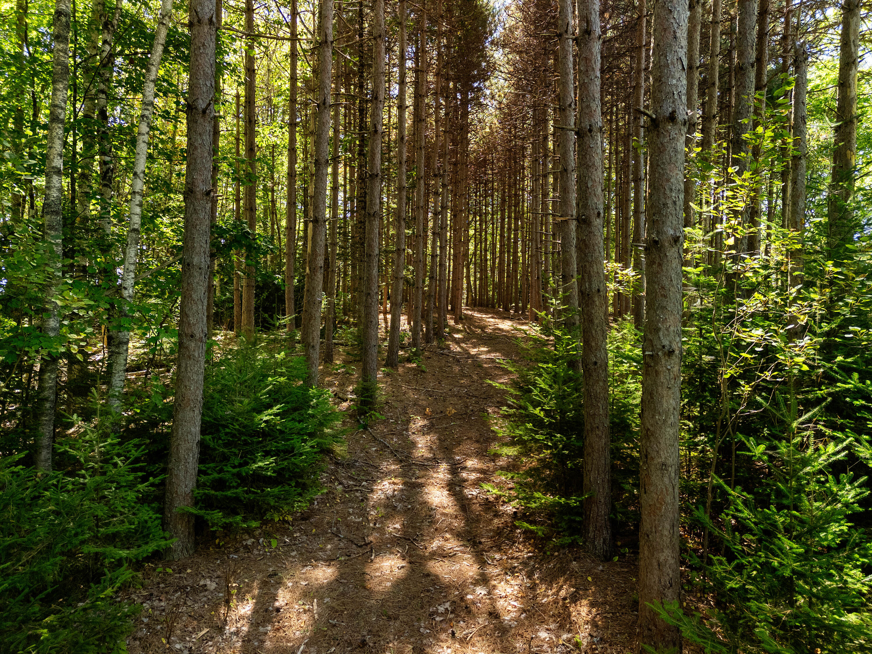 142 D Tucker Brook Road Lincolnville, ME 04849 - Photo 4 of 13 DJI_20250922115652_0033_D
