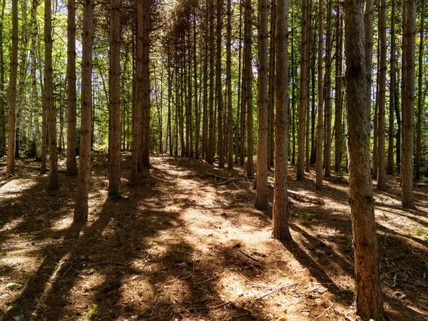 $120,000 | 142 D Tucker Brook Road, Lincolnville, ME 04849