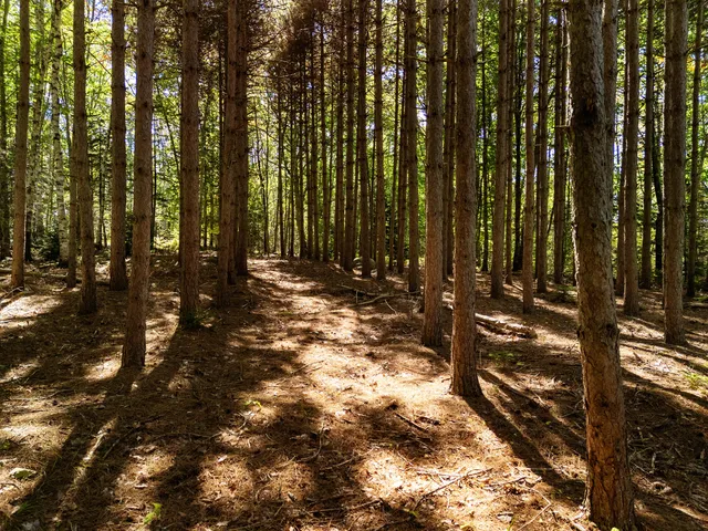 $120,000 | 142 D Tucker Brook Road, Lincolnville, ME 04849