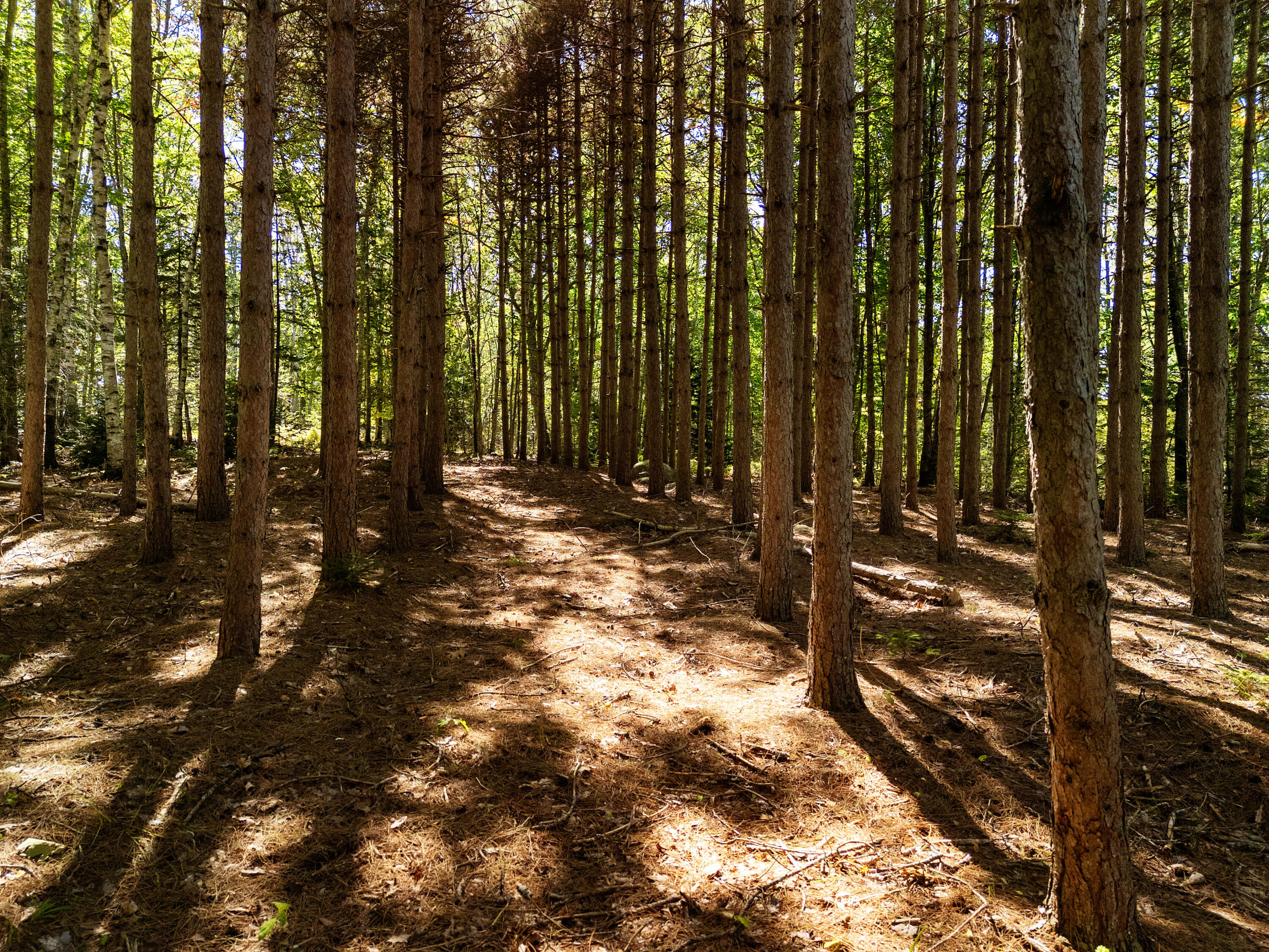 142 D Tucker Brook Road Lincolnville, ME 04849 - Photo 5 of 13 DJI_20250922115741_0048_D
