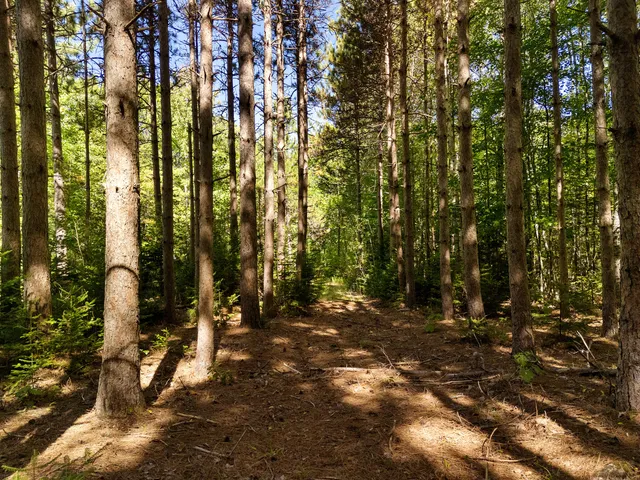 $120,000 | 142 D Tucker Brook Road, Lincolnville, ME 04849