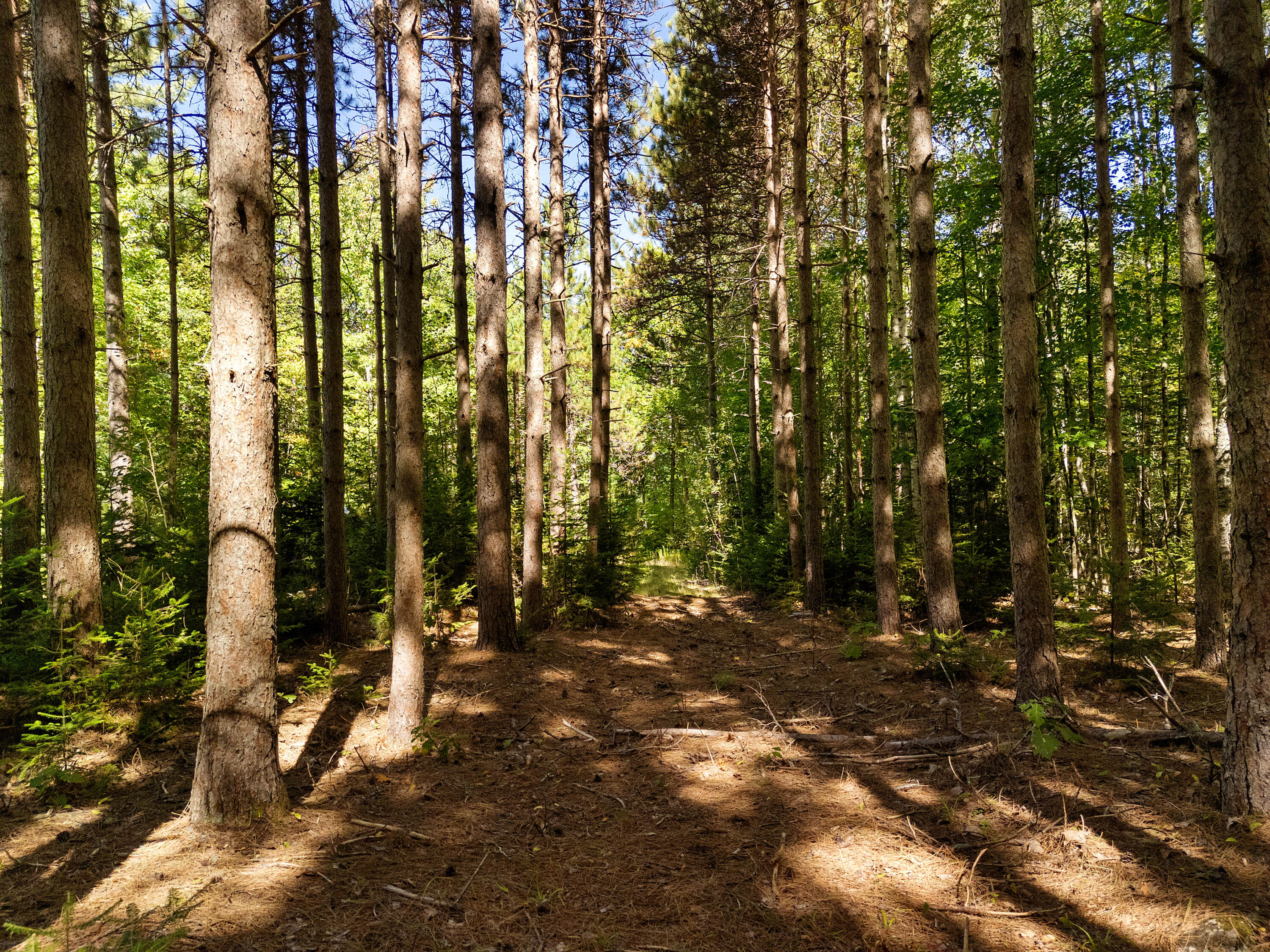142 D Tucker Brook Road Lincolnville, ME 04849 - Photo 6 of 13 DJI_20250922115749_0053_D