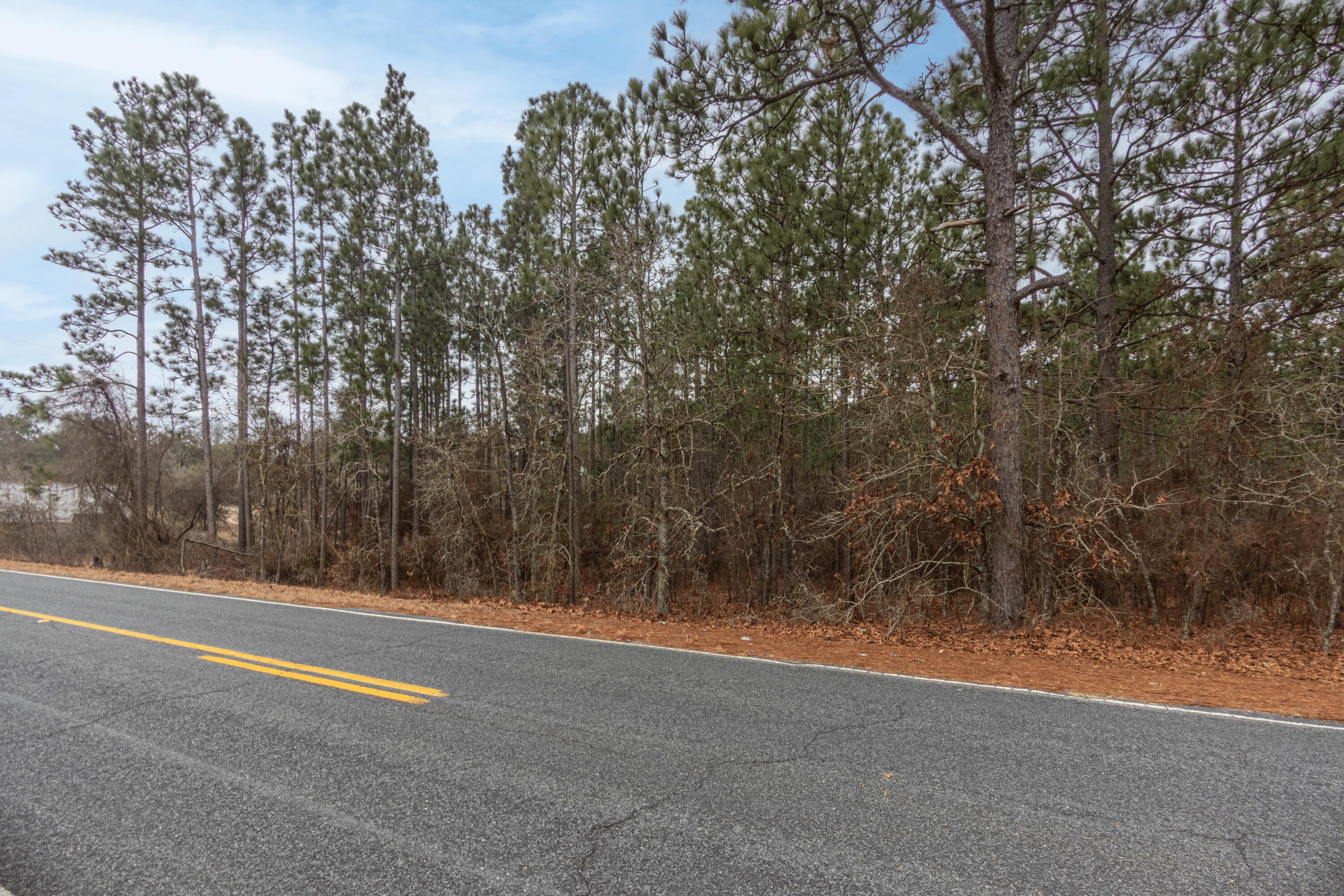 1293 Seivern Road Wagener, SC 29164 - Photo 2 of 2