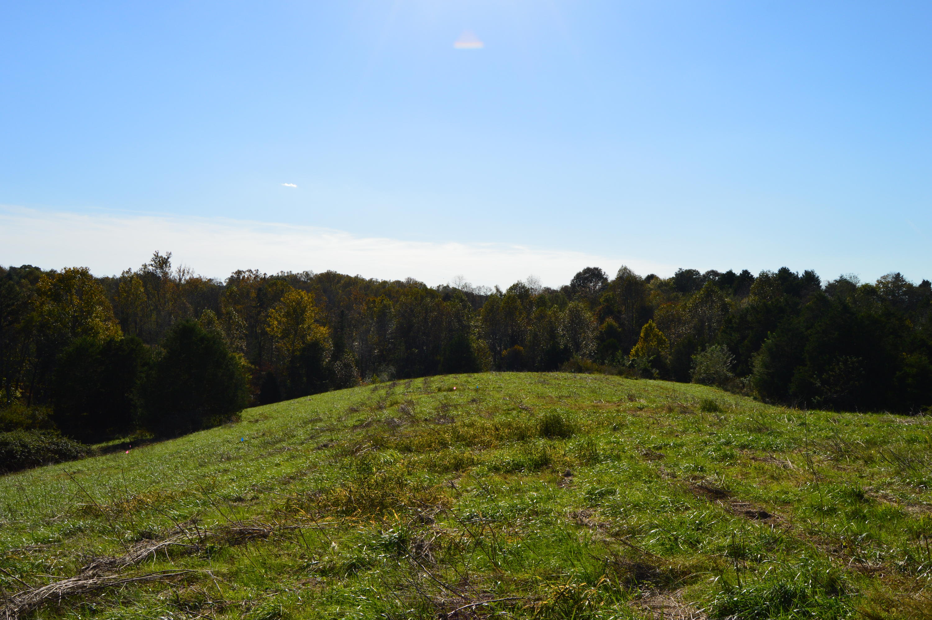 Lot 1 Goode Station Road Goode, VA 24556 - Photo 3 of 11 a view of an mountain