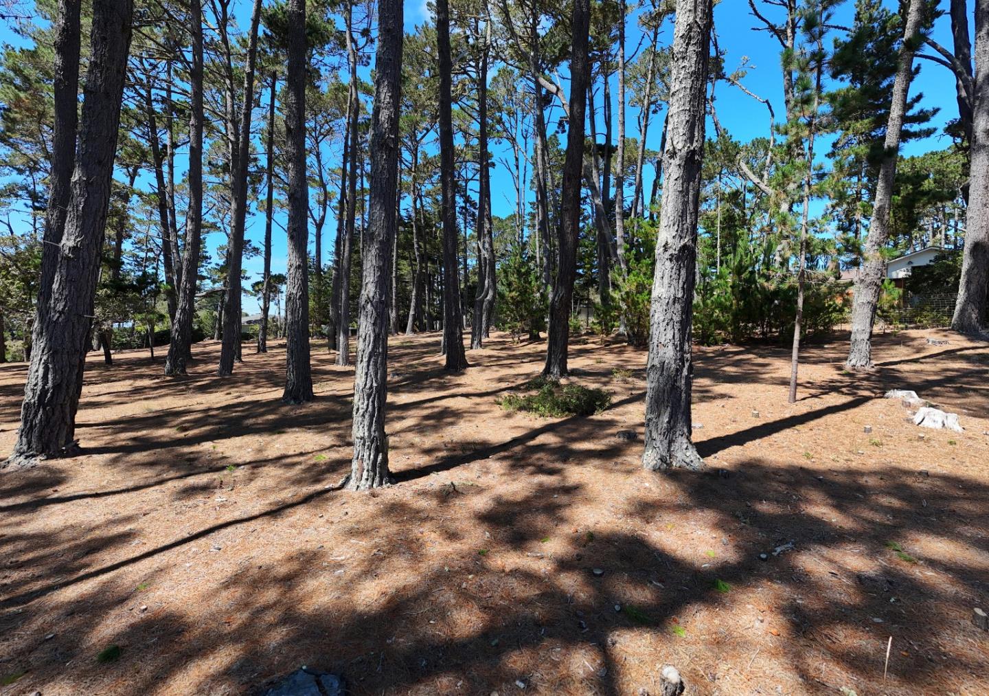 4045 Sunridge Road Pebble Beach, CA 93953 - Photo 8 of 15 Gallery Image 8