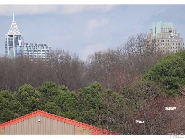 2124 Balboa Road Raleigh, NC 27603 - Photo 24 of 24 Raleigh skyline from the Farmers Market