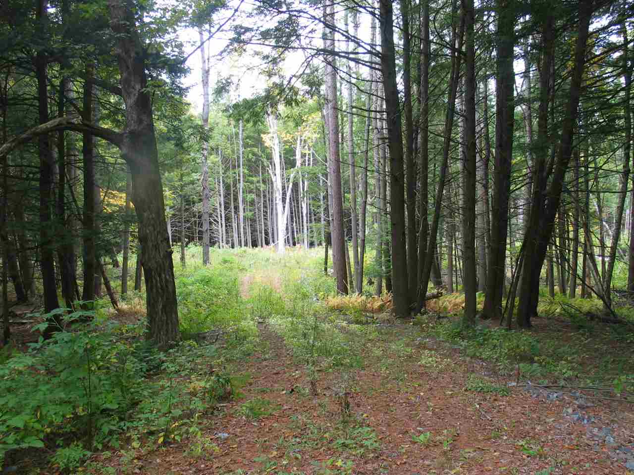 0 County Road North Haverhill, NH 03774 - Photo 1 of 7 Gallery Image 1