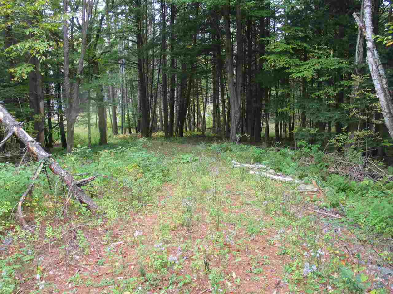 0 County Road North Haverhill, NH 03774 - Photo 5 of 7 Gallery Image 5