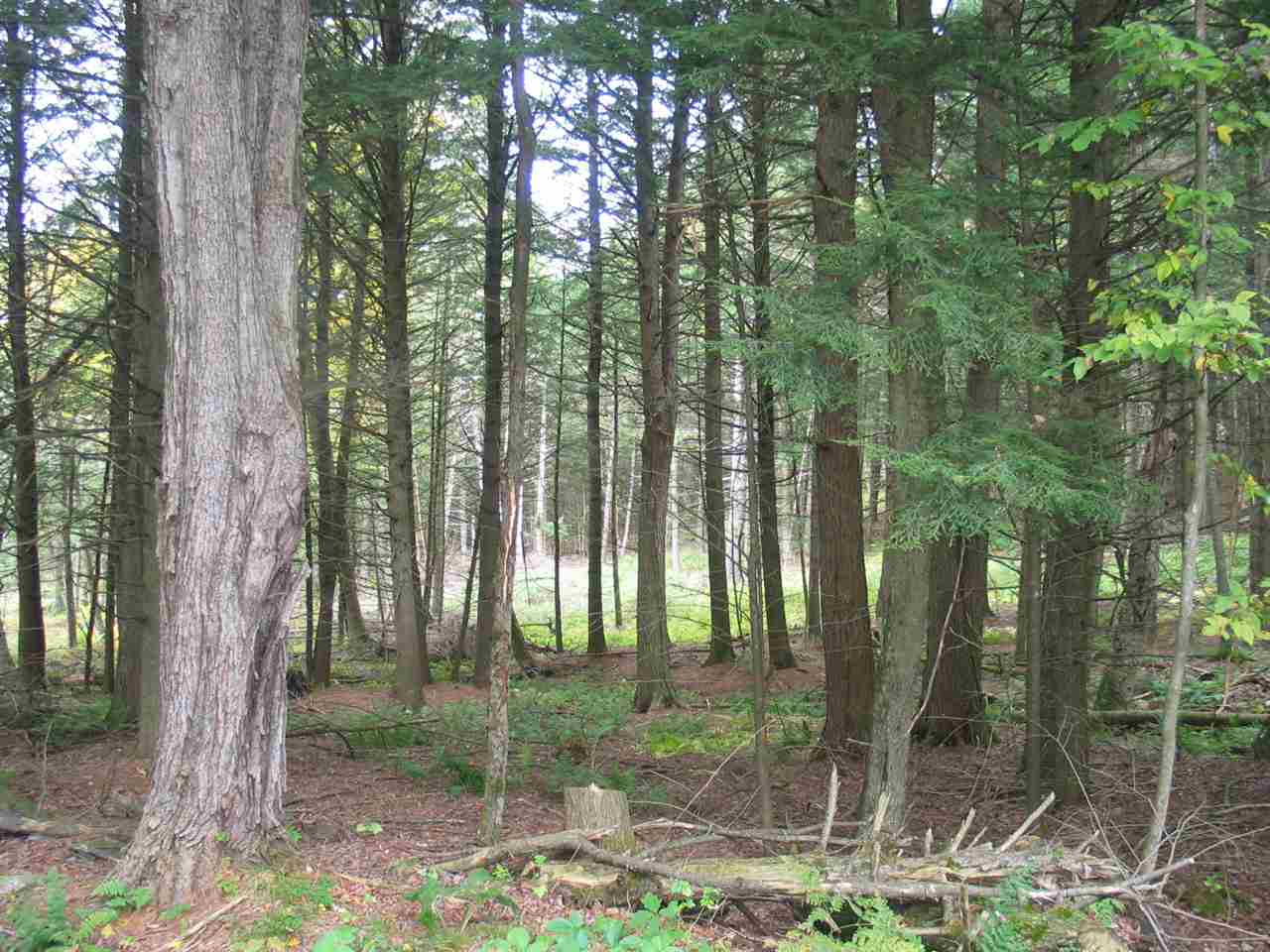 0 County Road North Haverhill, NH 03774 - Photo 6 of 7 Gallery Image 6