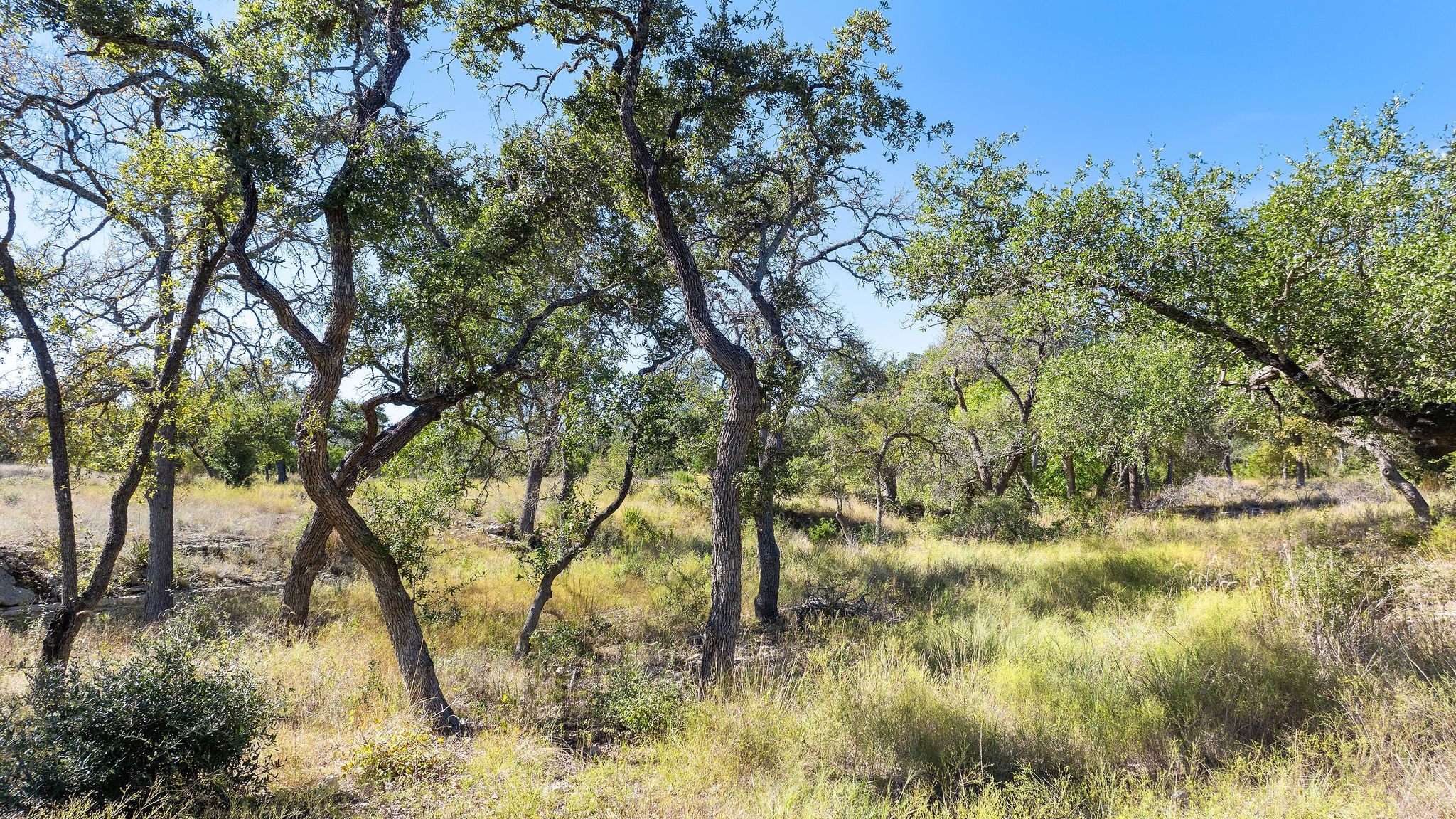 Lot 18 Mesa Rnch Road Dripping Springs, TX 78620 - Photo 1 of 23 Gallery Image 1