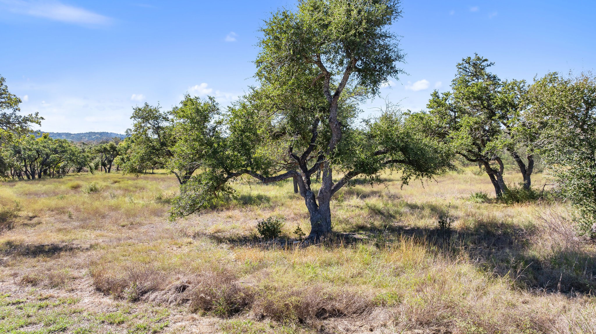 Lot 18 Mesa Rnch Road Dripping Springs, TX 78620 - Photo 11 of 23 Gallery Image 11