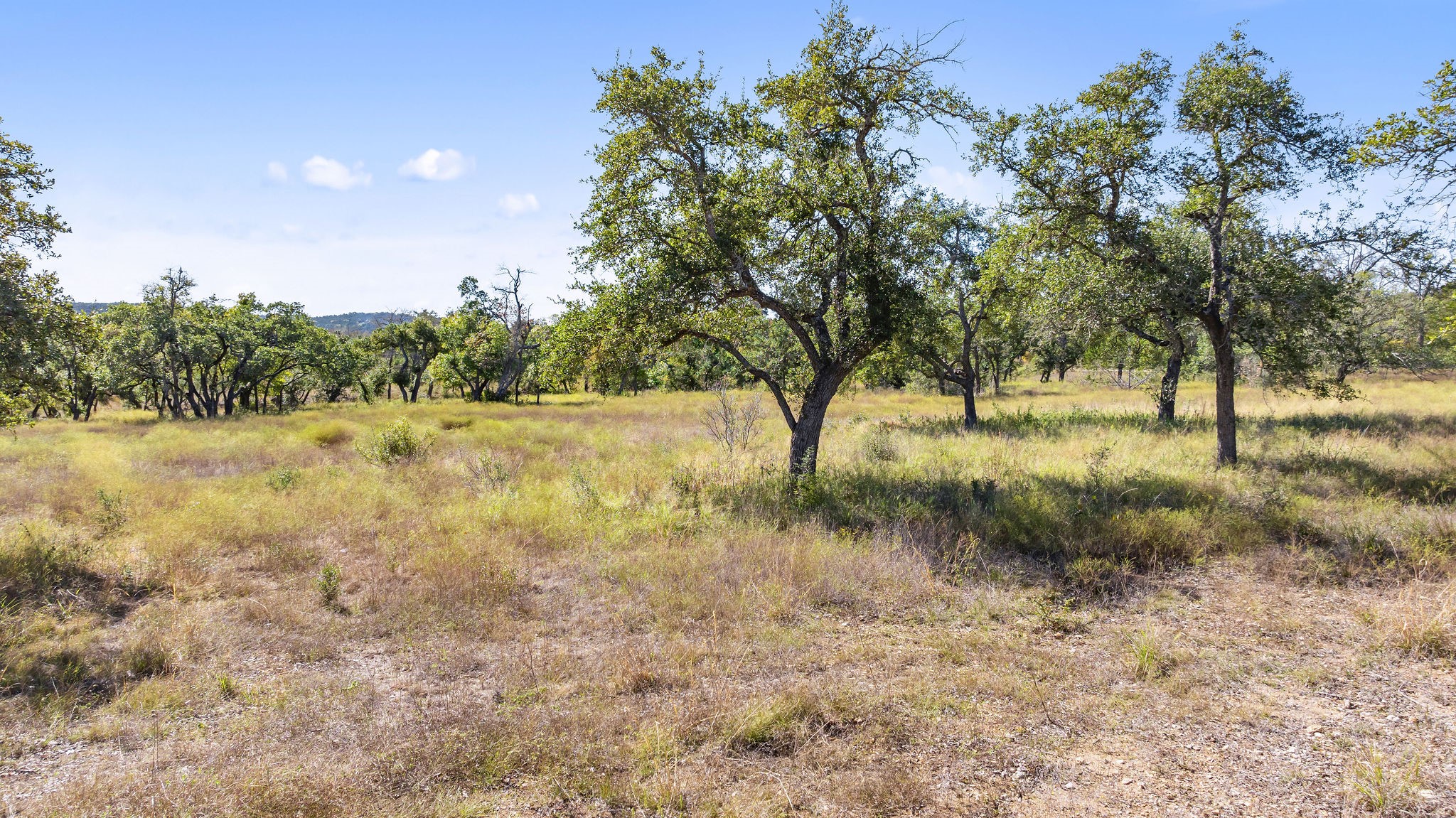 Lot 18 Mesa Rnch Road Dripping Springs, TX 78620 - Photo 12 of 23 Gallery Image 12