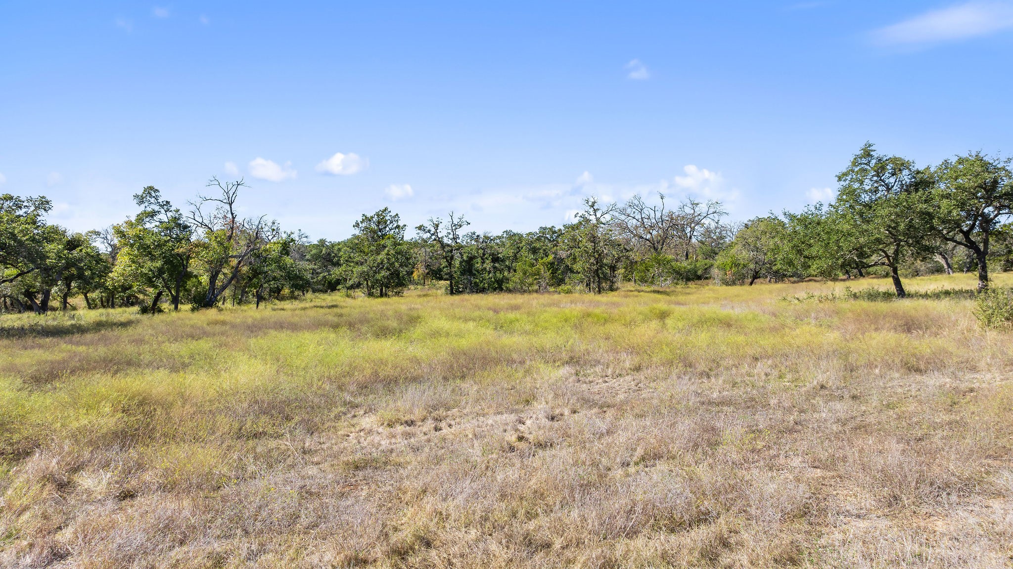 Lot 18 Mesa Rnch Road Dripping Springs, TX 78620 - Photo 13 of 23 Gallery Image 13