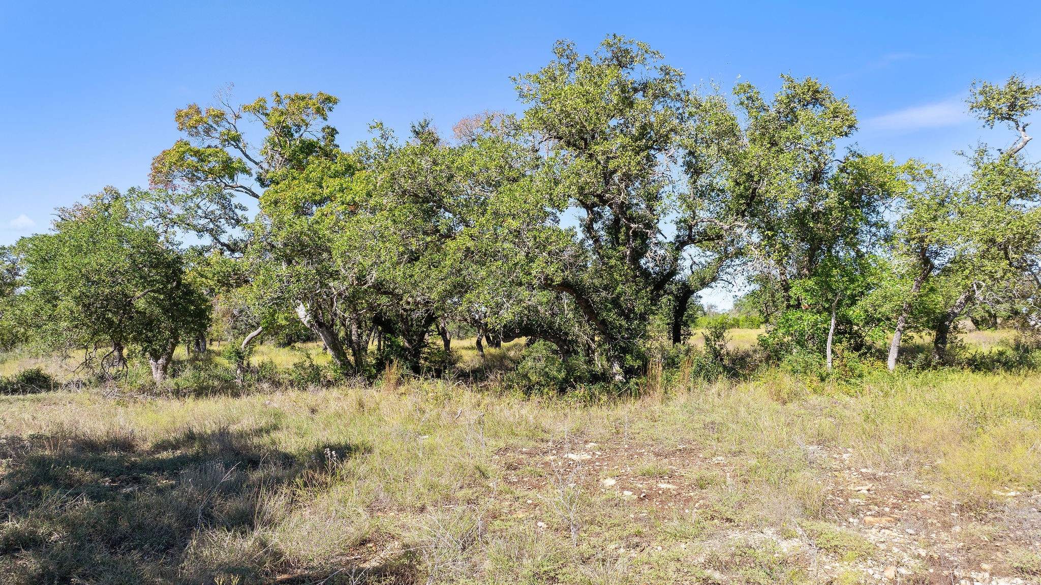 Lot 18 Mesa Rnch Road Dripping Springs, TX 78620 - Photo 17 of 23 Gallery Image 17