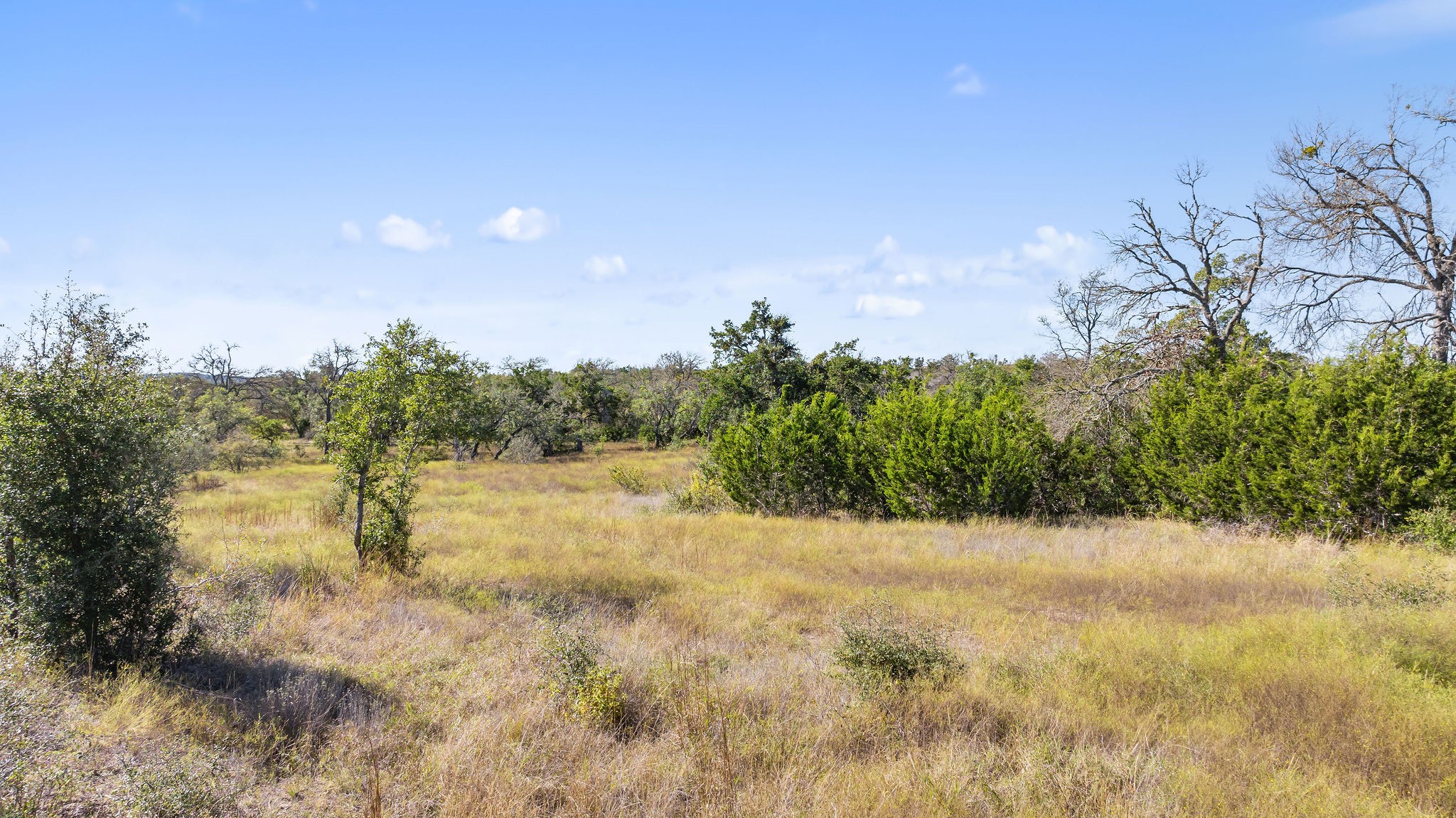 Lot 18 Mesa Rnch Road Dripping Springs, TX 78620 - Photo 10 of 23 Gallery Image 10